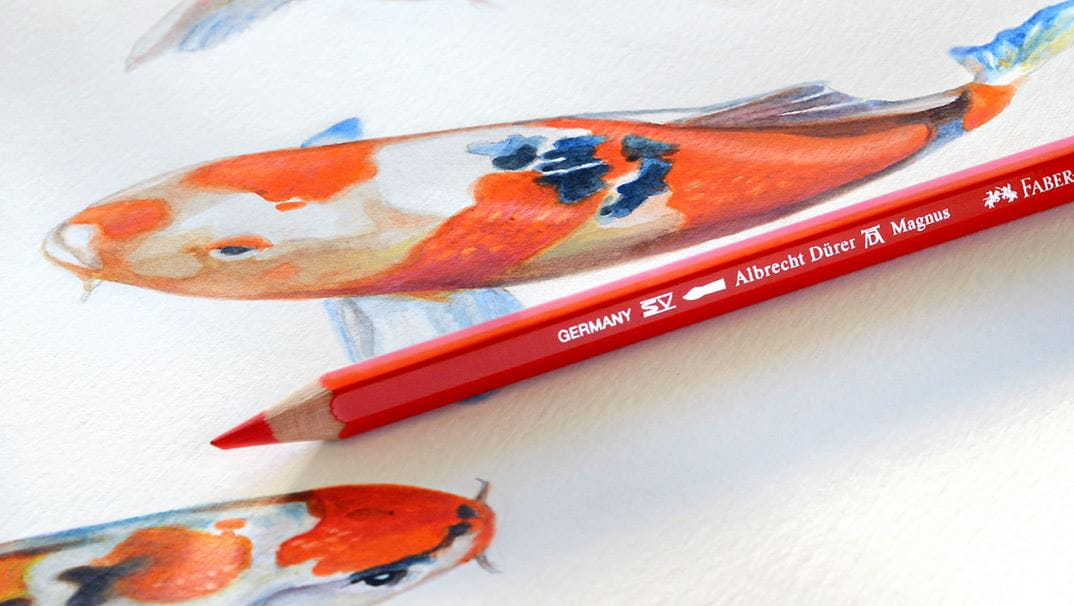 Zeichenanleitung Koi-Kapfen, Fische mit Buntstiften