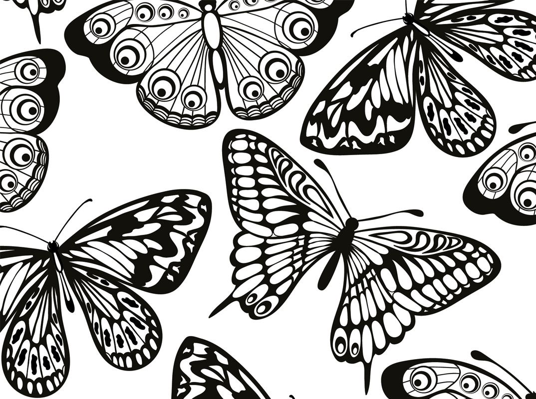 Schmetterlinge zum ausmalen für erwachsene