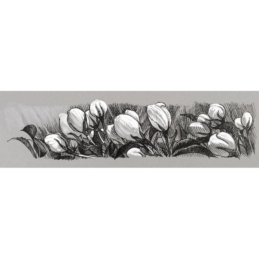 Faber-Castell - Pitt Artist Pen Tuschestift, 4er Etui black&white